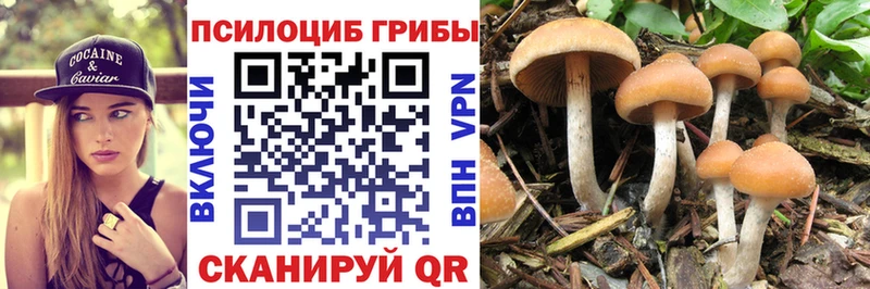 как найти   Видное  Галлюциногенные грибы прущие грибы 