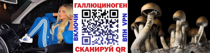 Галлюциногенные грибы Psilocybine cubensis Видное